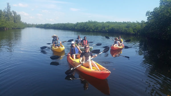 Miami Kayak mangrove tour
