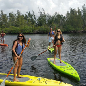 stand up Paddleboard tour Miami
